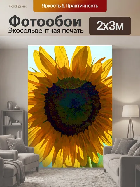 200 × 300 см · Экосольвентная печать