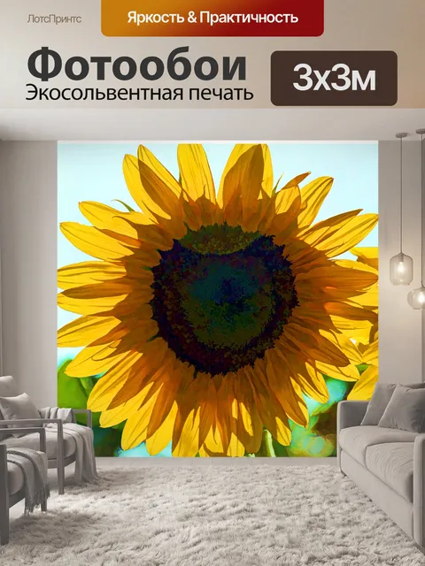300 × 300 см · Экосольвентная печать