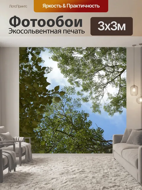 Фотообои Чашка, дерево, листы