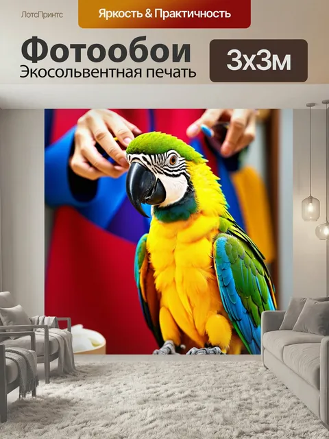 Фотообои Живой пугающий попугай-гример, который готовит к нарядам своих моделей. он использует множество ярких красок …