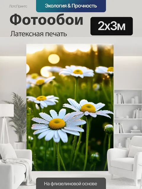 200 × 300 см · Латексная печать