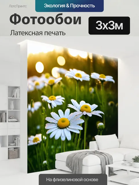 300 × 300 см · Латексная печать