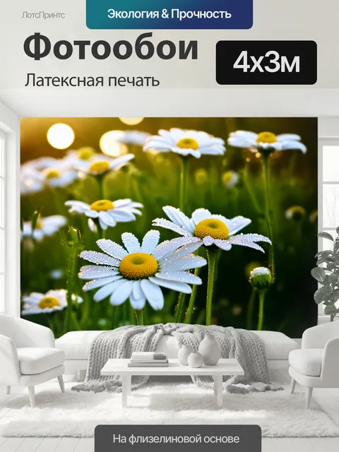 400 × 300 см · Латексная печать