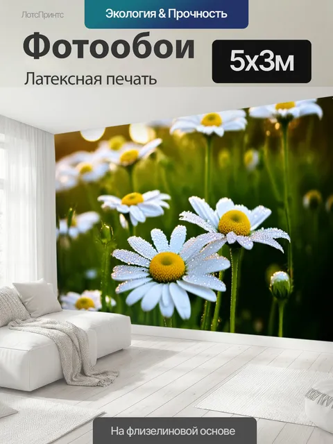 500 × 300 см · Латексная печать