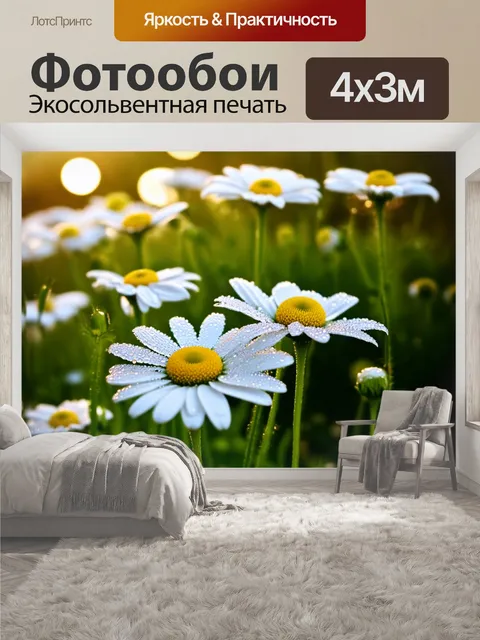 400 × 300 см · Экосольвентная печать