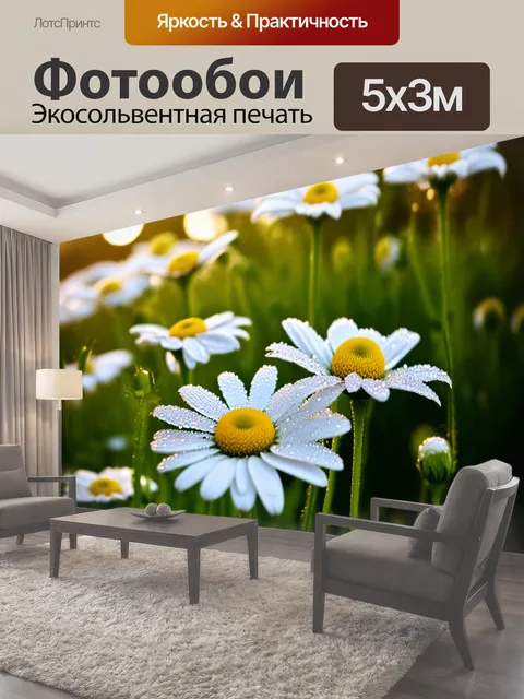 500 × 300 см · Экосольвентная печать