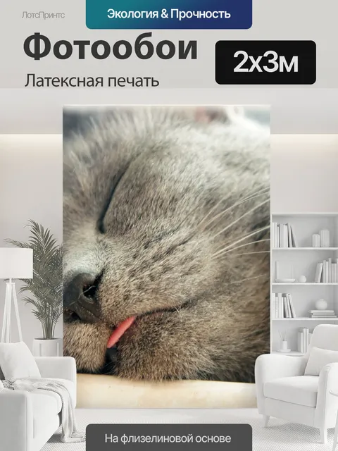 200 × 300 см · Латексная печать