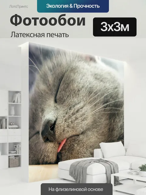 300 × 300 см · Латексная печать