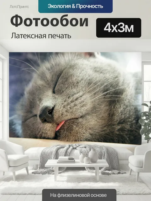 400 × 300 см · Латексная печать