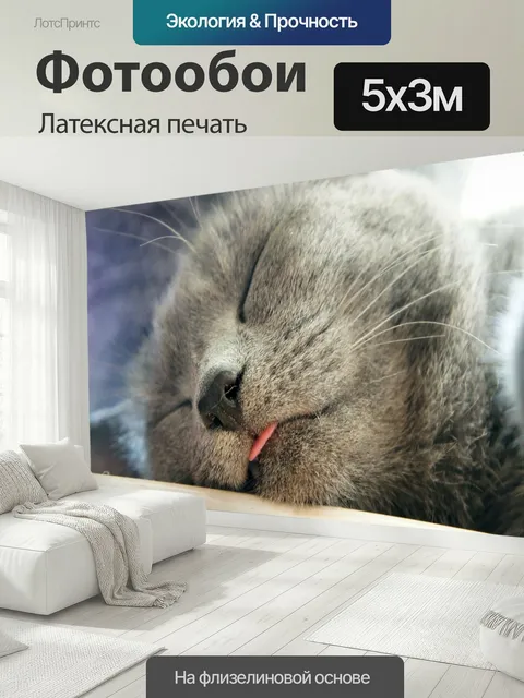 500 × 300 см · Латексная печать