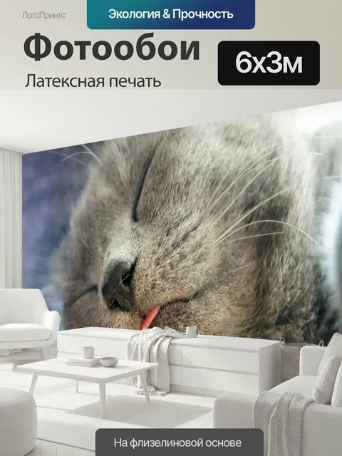 600 × 300 см · Латексная печать