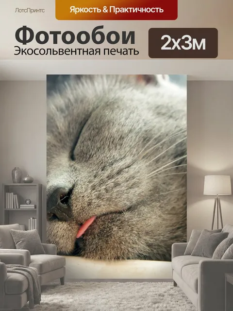 200 × 300 см · Экосольвентная печать