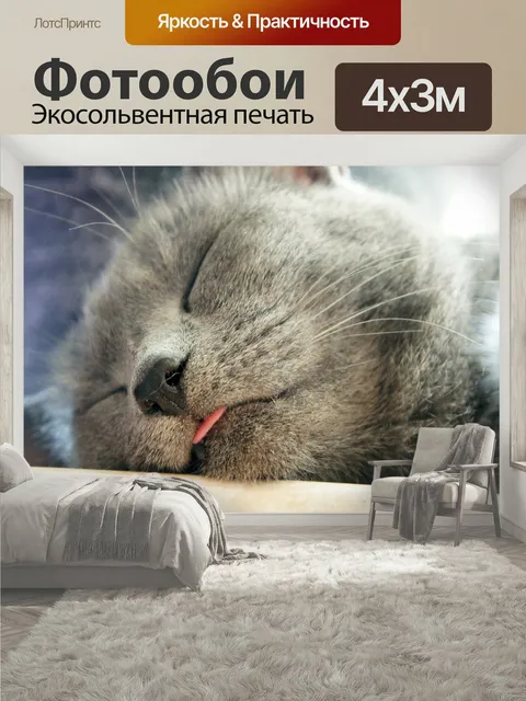 400 × 300 см · Экосольвентная печать