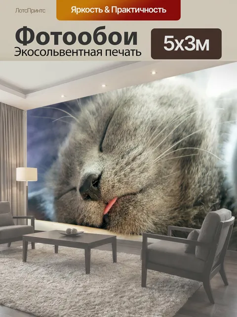 500 × 300 см · Экосольвентная печать