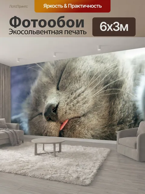 600 × 300 см · Экосольвентная печать