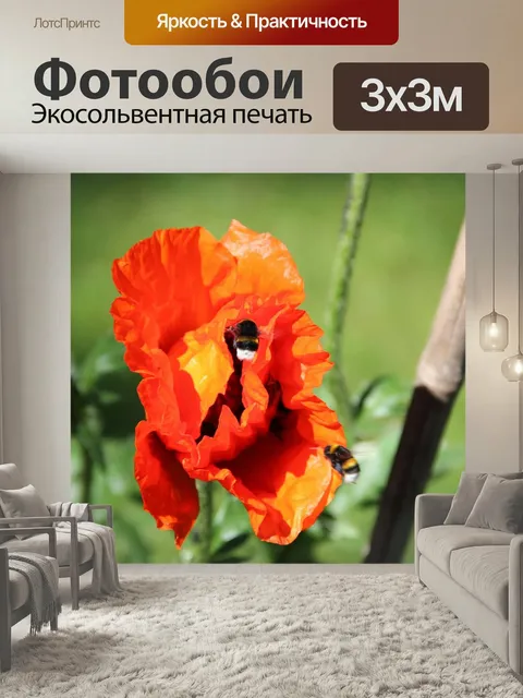 Фотообои Весна, цвести, мак