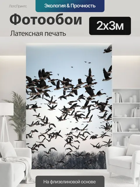200 × 300 см · Латексная печать