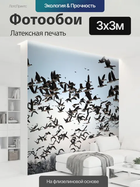 300 × 300 см · Латексная печать