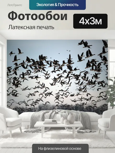 400 × 300 см · Латексная печать