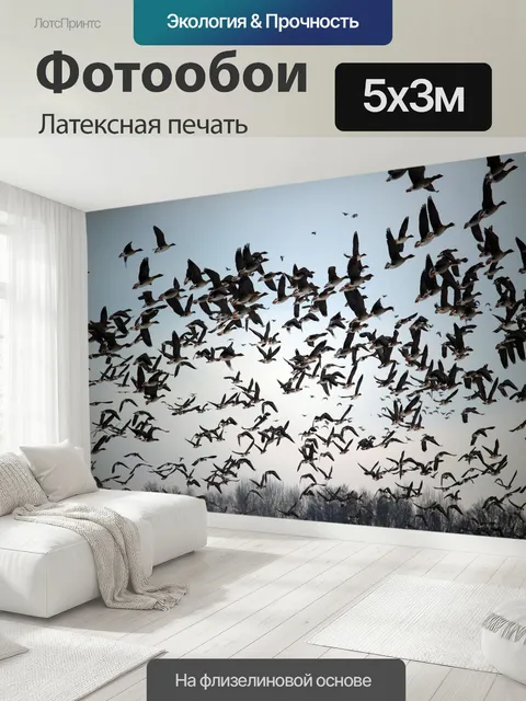500 × 300 см · Латексная печать