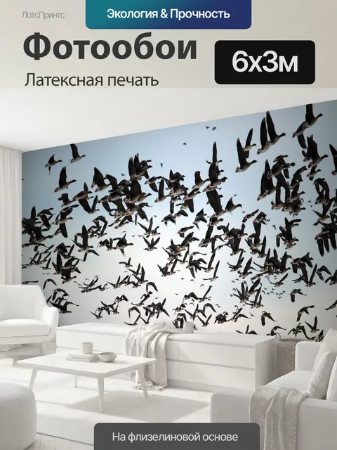 600 × 300 см · Латексная печать