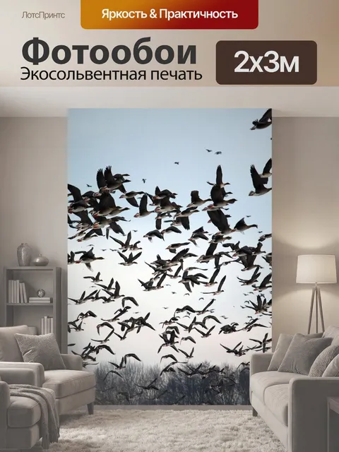 200 × 300 см · Экосольвентная печать