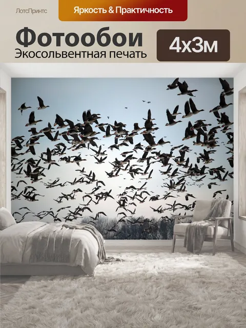 400 × 300 см · Экосольвентная печать