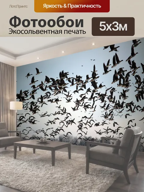 500 × 300 см · Экосольвентная печать