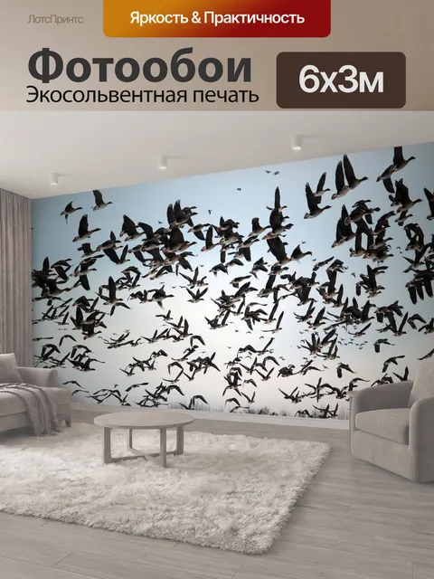 600 × 300 см · Экосольвентная печать