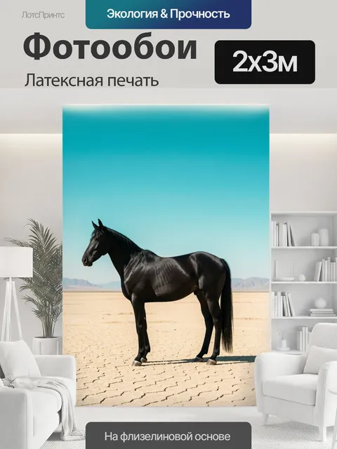 200 × 300 см · Латексная печать
