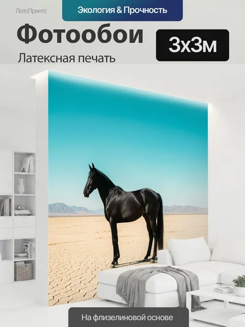 300 × 300 см · Латексная печать