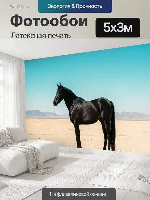 500 × 300 см · Латексная печать