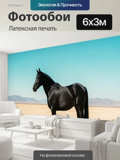 600 × 300 см · Латексная печать