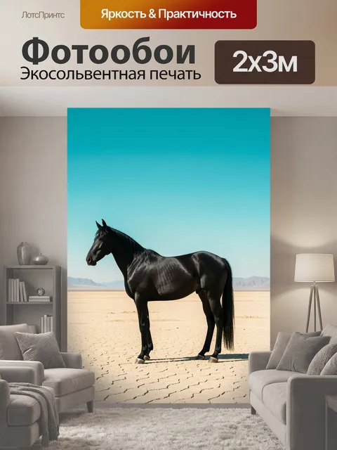 200 × 300 см · Экосольвентная печать