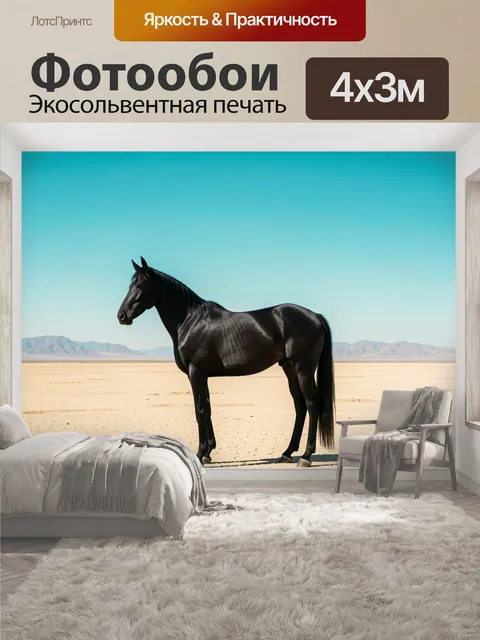 400 × 300 см · Экосольвентная печать