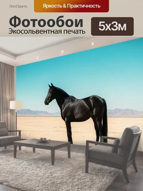 500 × 300 см · Экосольвентная печать