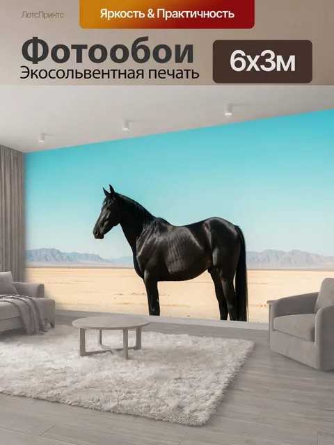 600 × 300 см · Экосольвентная печать