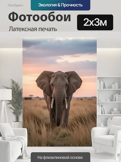 200 × 300 см · Латексная печать