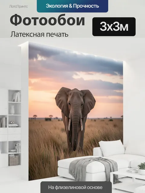 300 × 300 см · Латексная печать
