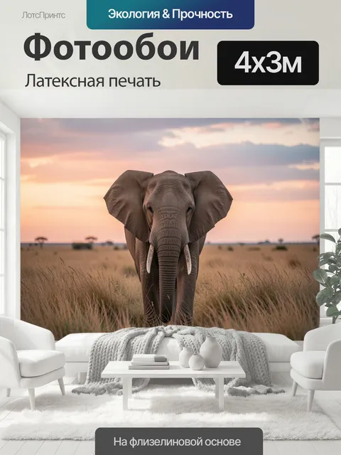 400 × 300 см · Латексная печать