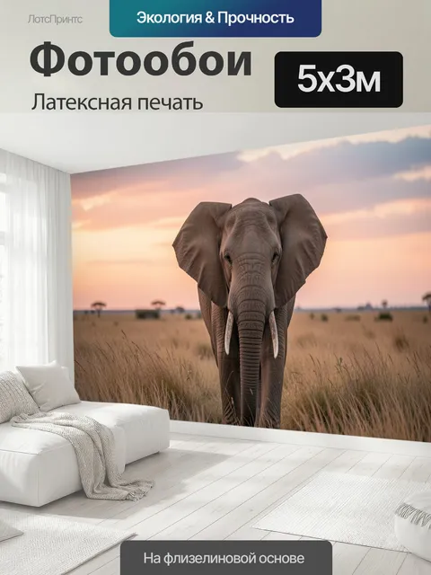 500 × 300 см · Латексная печать