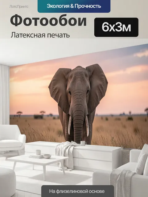 600 × 300 см · Латексная печать