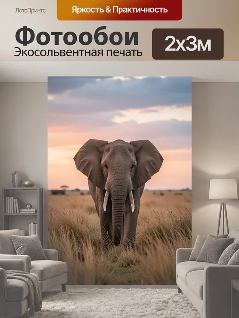 200 × 300 см · Экосольвентная печать