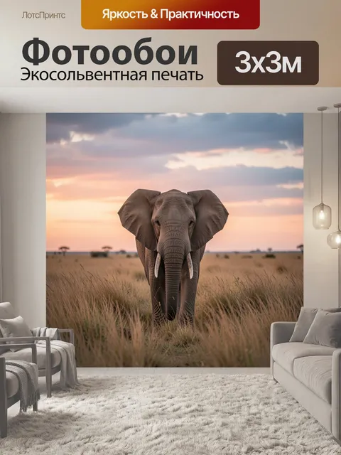 300 × 300 см · Экосольвентная печать