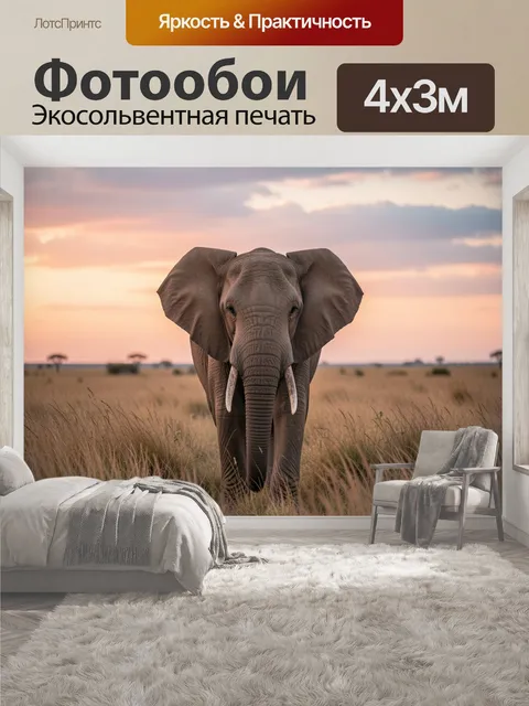 400 × 300 см · Экосольвентная печать