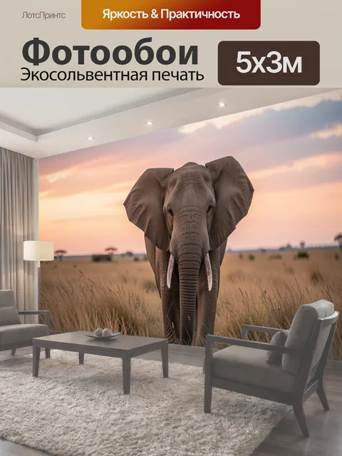 Фотообои Слон на саванне на закате