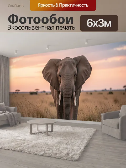 600 × 300 см · Экосольвентная печать