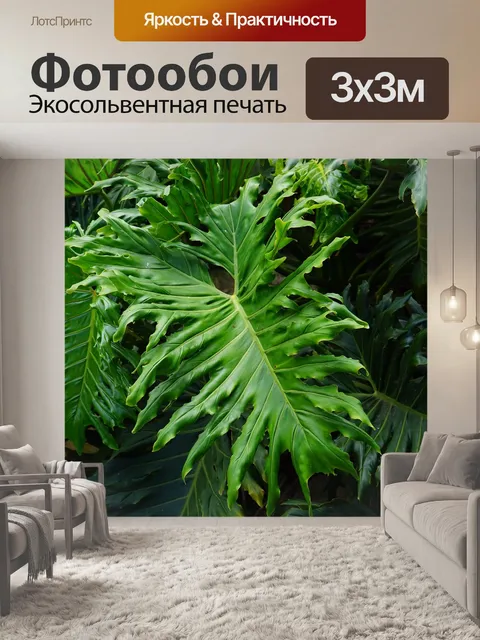 Фотообои Листья, большой, зеленый