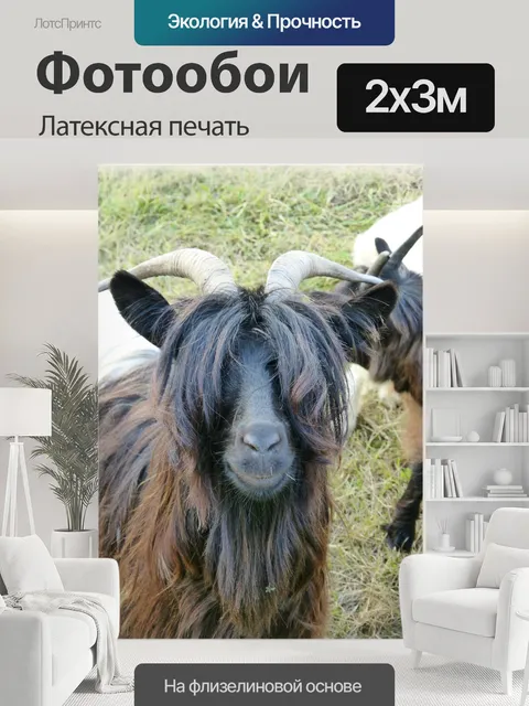 200 × 300 см · Латексная печать