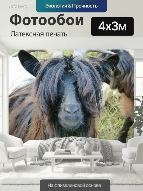 400 × 300 см · Латексная печать